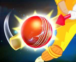 City Cricket game